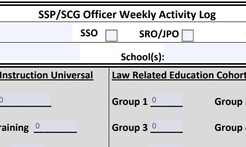 activity log